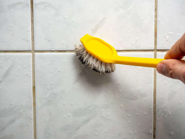 Best Mold Removal Specialists  in Centre Grove, NJ