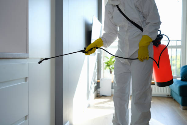 Best Crawl Space Mold Removal  in Centre Grove, NJ