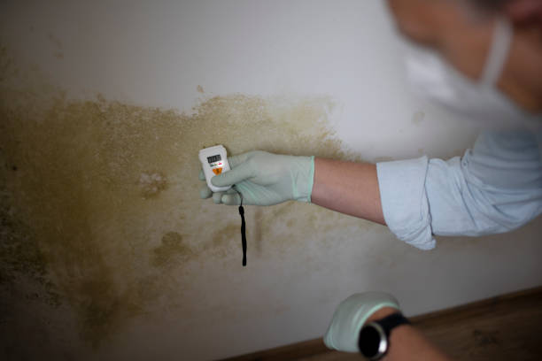 Crawl Space Mold Removal in Centre Grove, NJ