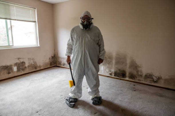 Best Attic Mold Removal  in Centre Grove, NJ